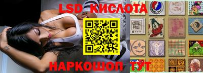 apvp Гусев