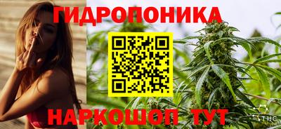 apvp Гусев