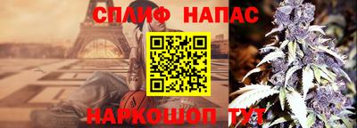 apvp Гусев