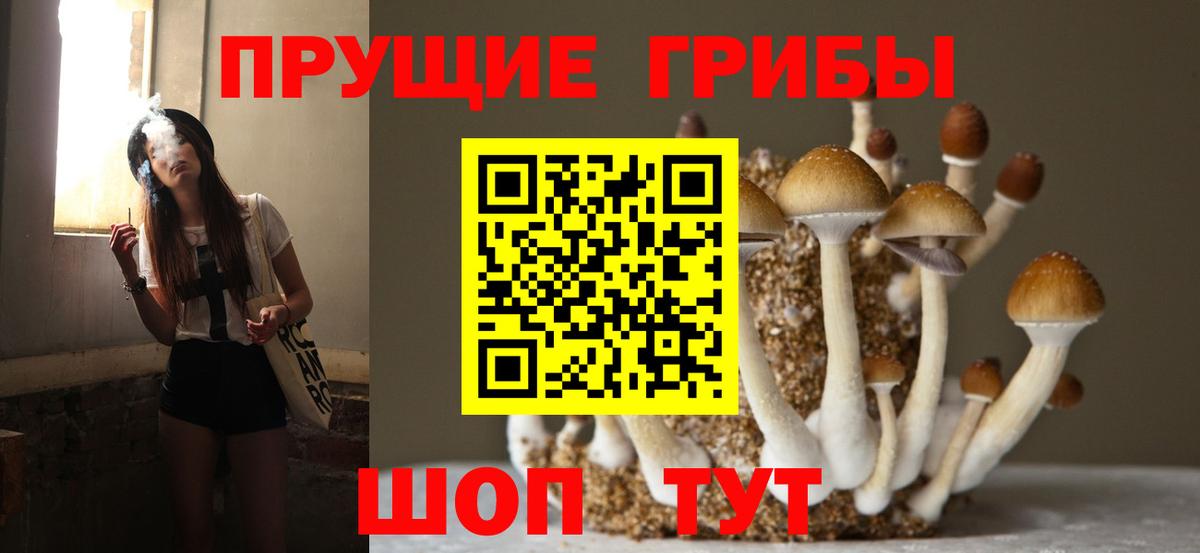 Галлюциногенные грибы Psilocybe  Псилоцибиновые грибы мухоморы  Нефтекамск  Вход с VPN 